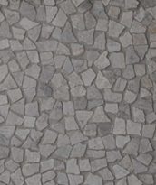 פסיפכס לבריכה