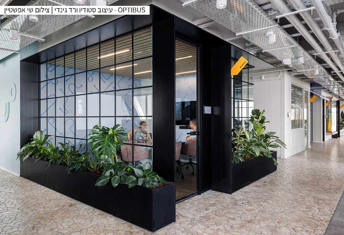 פסיפס משתלב גאיה ביאנקונה